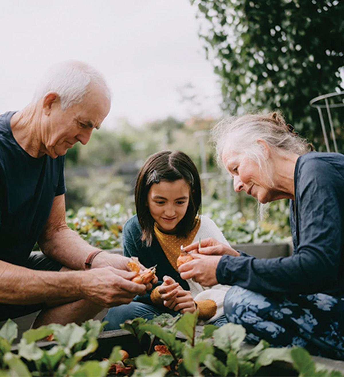Image of two grandparents and a grandchild gardening together