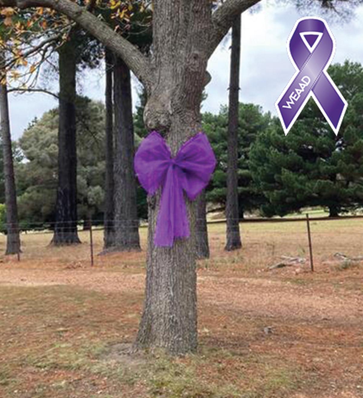 Photo of a tree with a large purple bow tied to its trunk