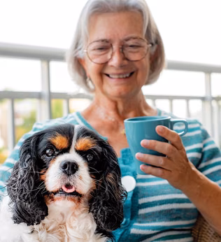 Photo of a happy woman with a spaniel on her lap