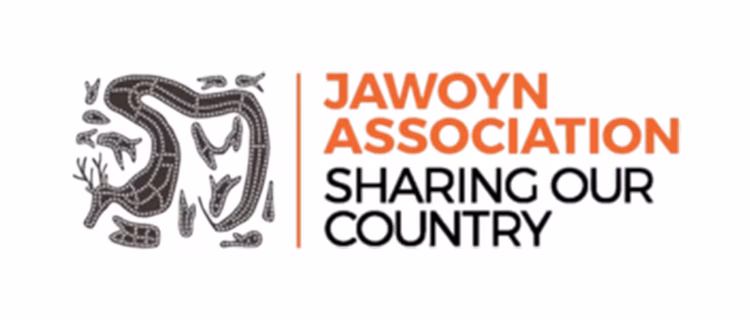 Jowoyn logo