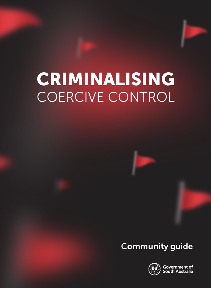 Criminalising Coercive Control - a community guide