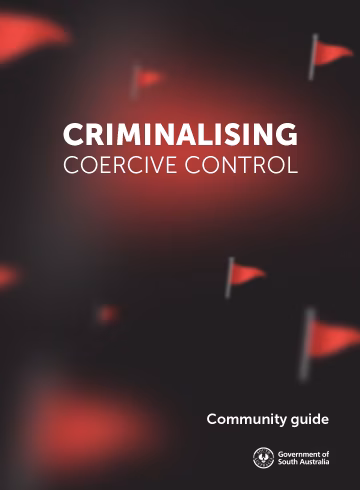 Criminalising Coercive Control - a community guide