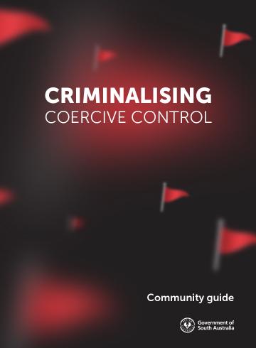 Criminalising Coercive Control - a community guide