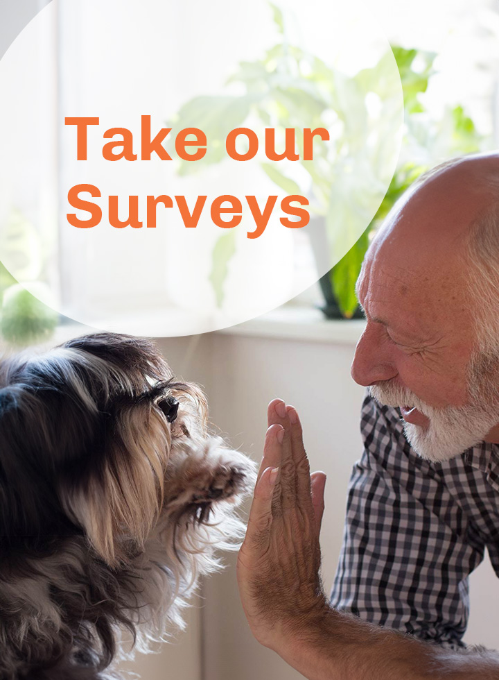 Take our surveys title page