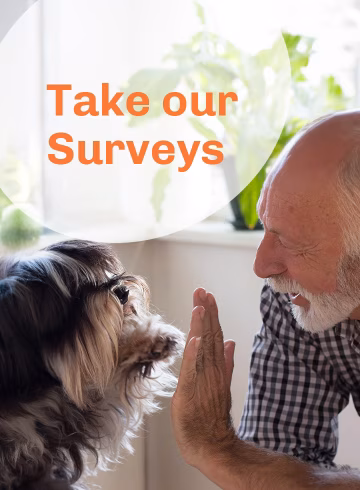 Take our surveys title page