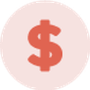 $ icon