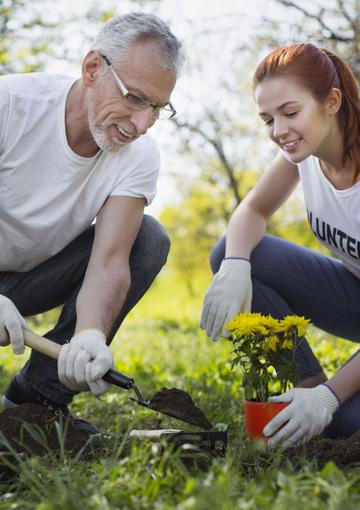 Senior man planting trees with young volunteers 