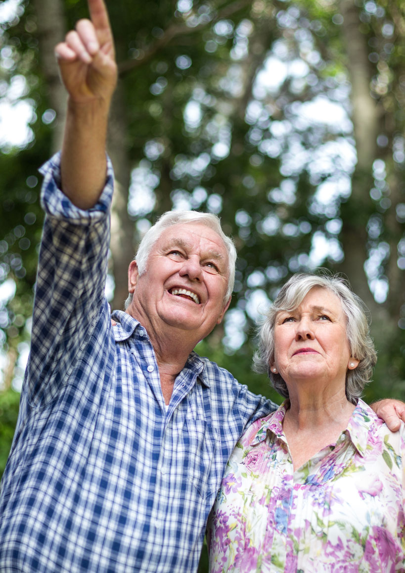 Senior couple in the park, the man is pointing to something in the distance