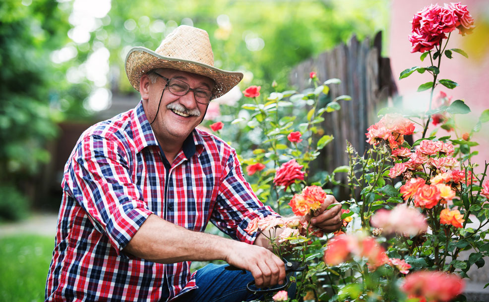 Senior man gardening