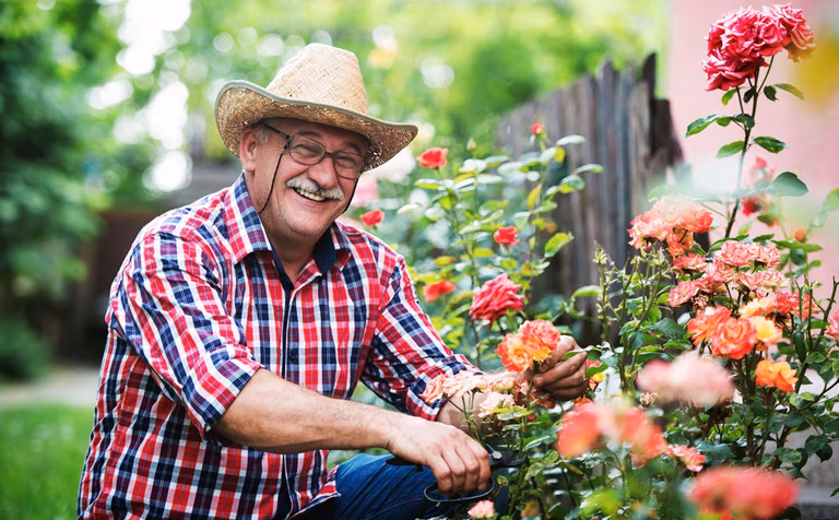 Senior man gardening