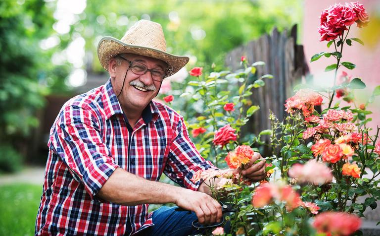 Senior man gardening