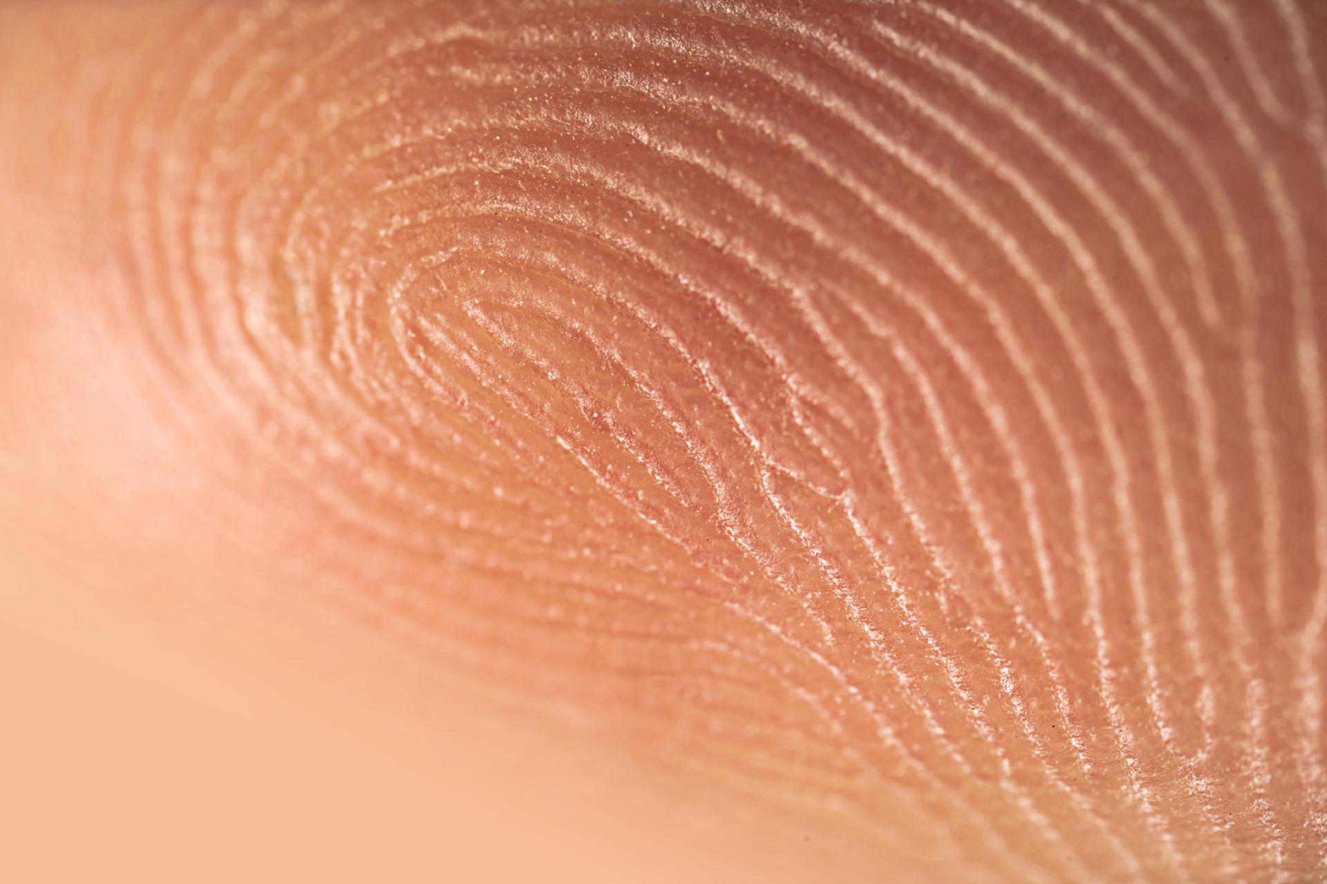 Close-up of a fingerprint on skin, showing intricate whorls and ridges in detail, highlighting its unique pattern and texture.