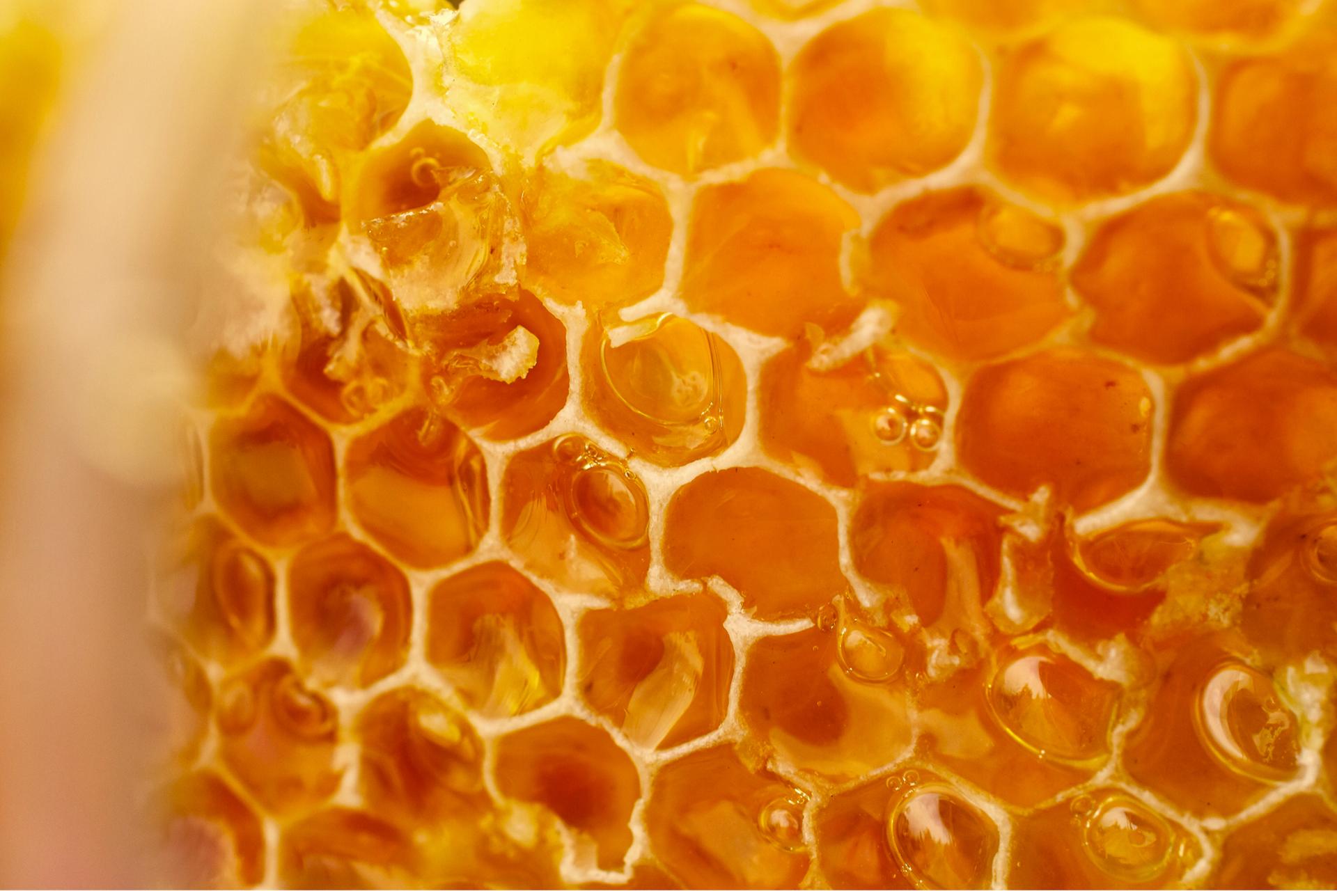 Close-up of honeycomb with golden honey, showcasing hexagonal cells filled with glistening, translucent amber liquid.