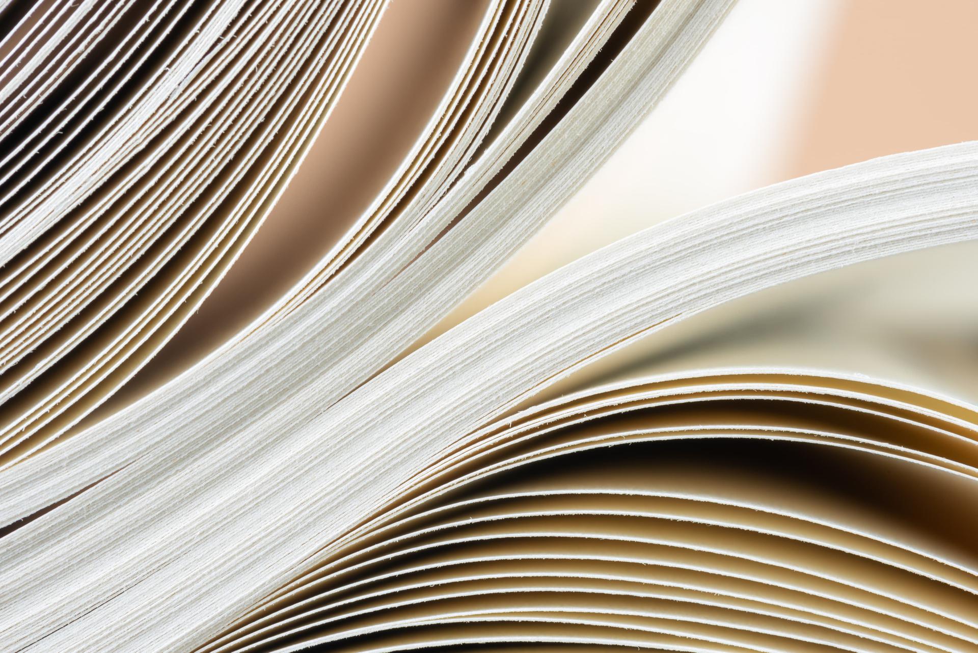 Close-up view of an open book with pages fanned out in curved layers, creating elegant shadows and warm lighting effects