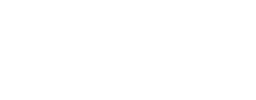 Debic