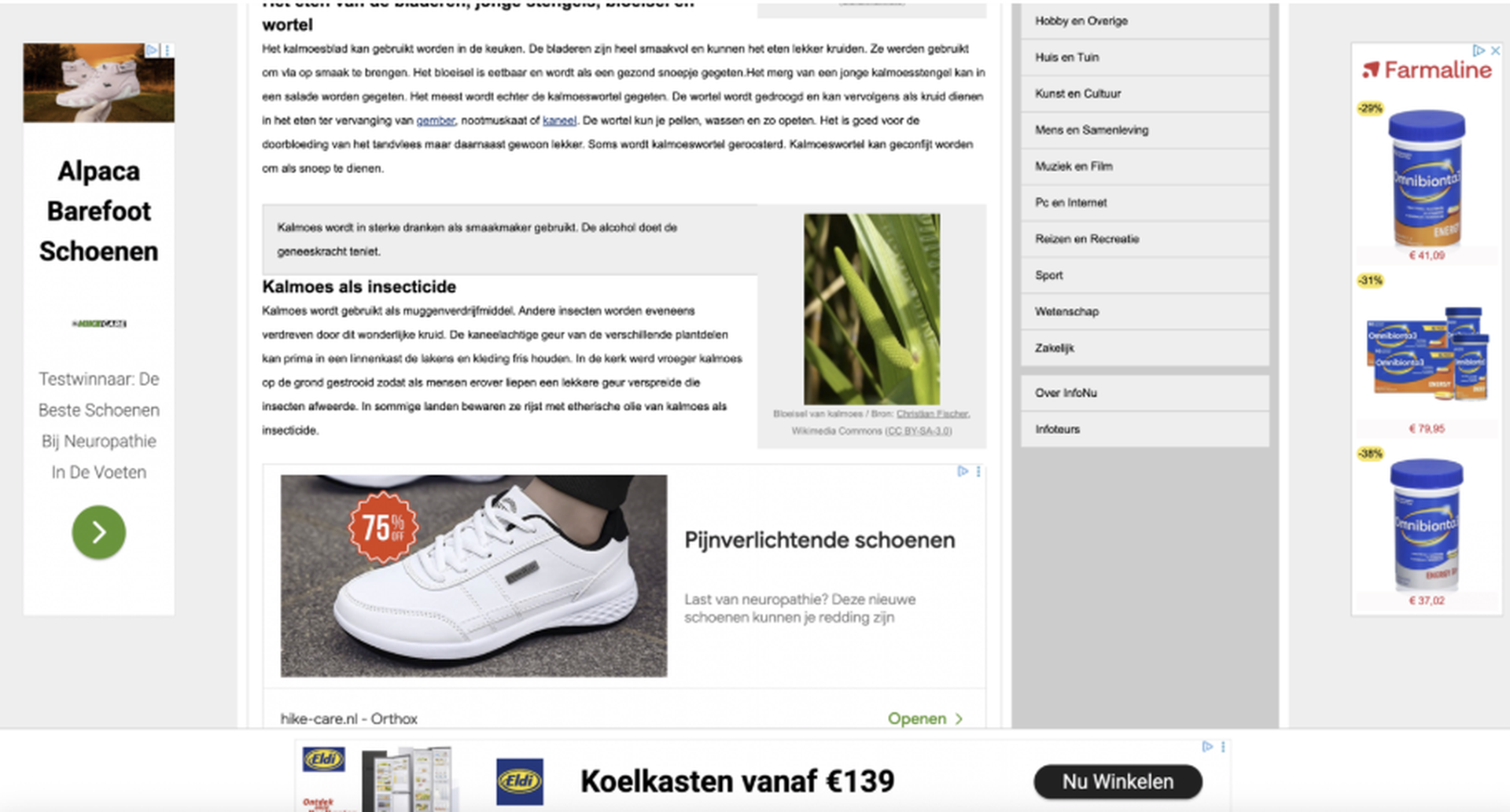 A webpage featuring articles, ads for shoes and insecticide, and a sidebar with product promotions.