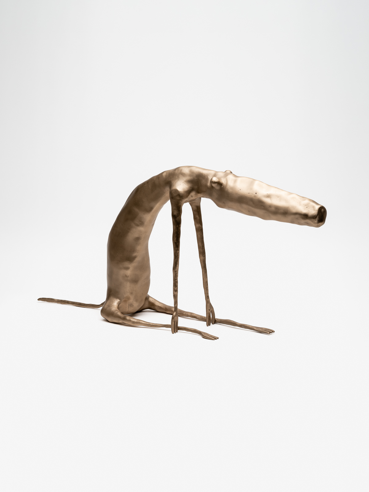 Indi by Rafa Macarrón