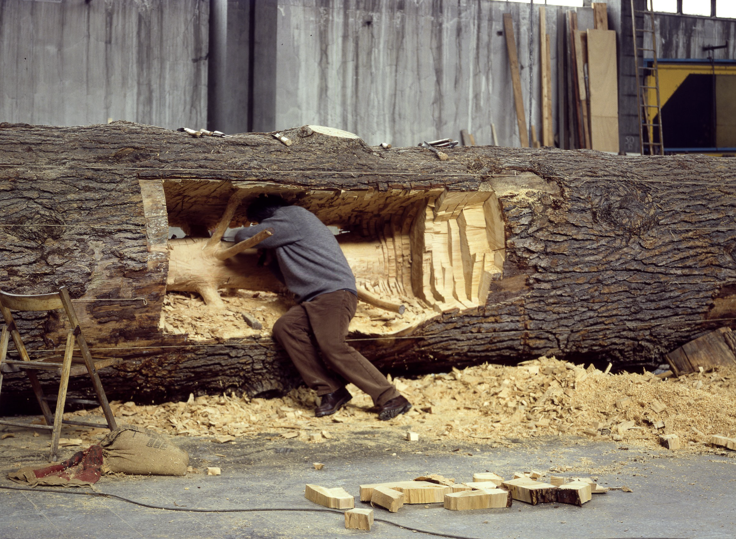 Artwork by Giuseppe Penone
