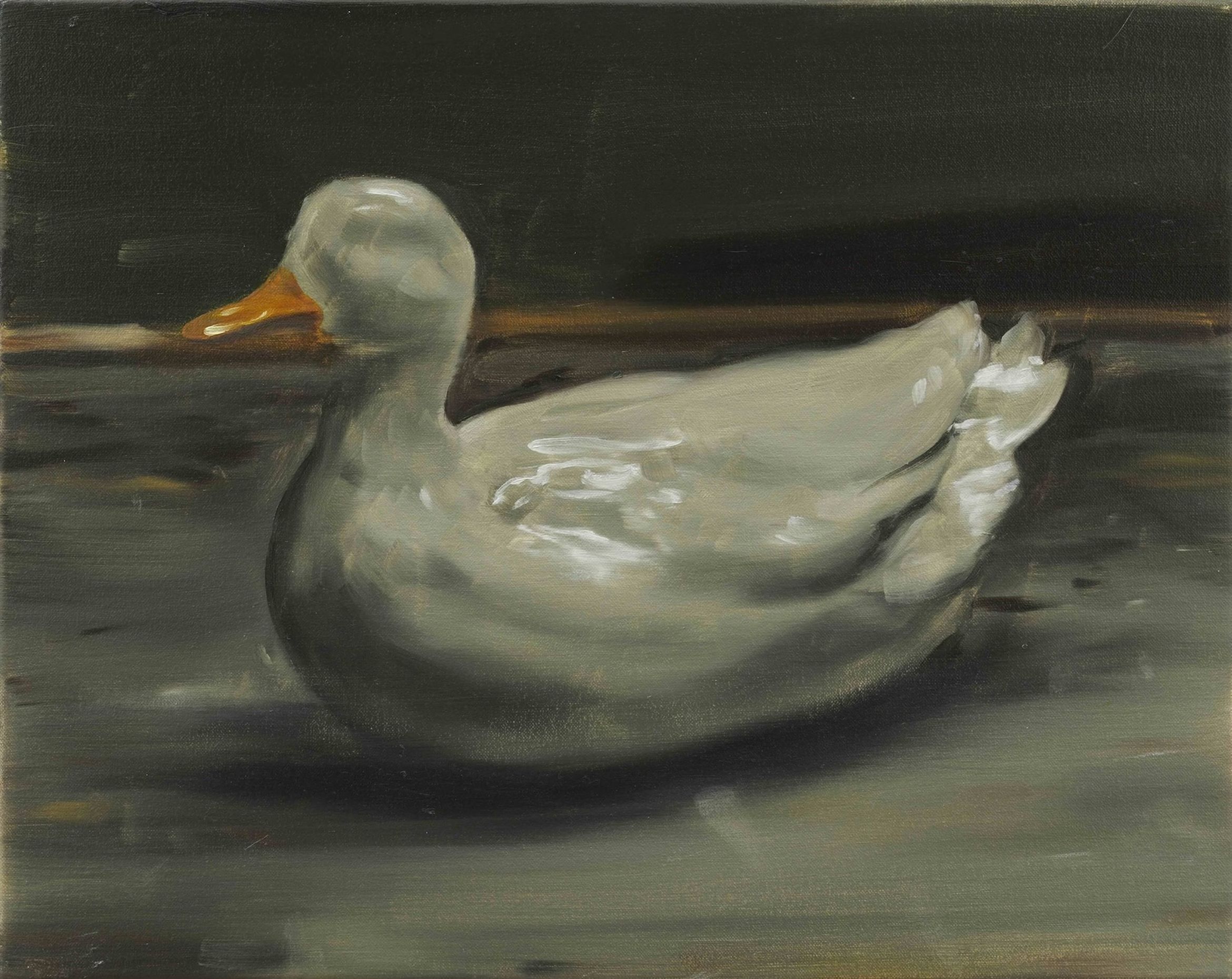 A duck shown alone in a minimal setting.