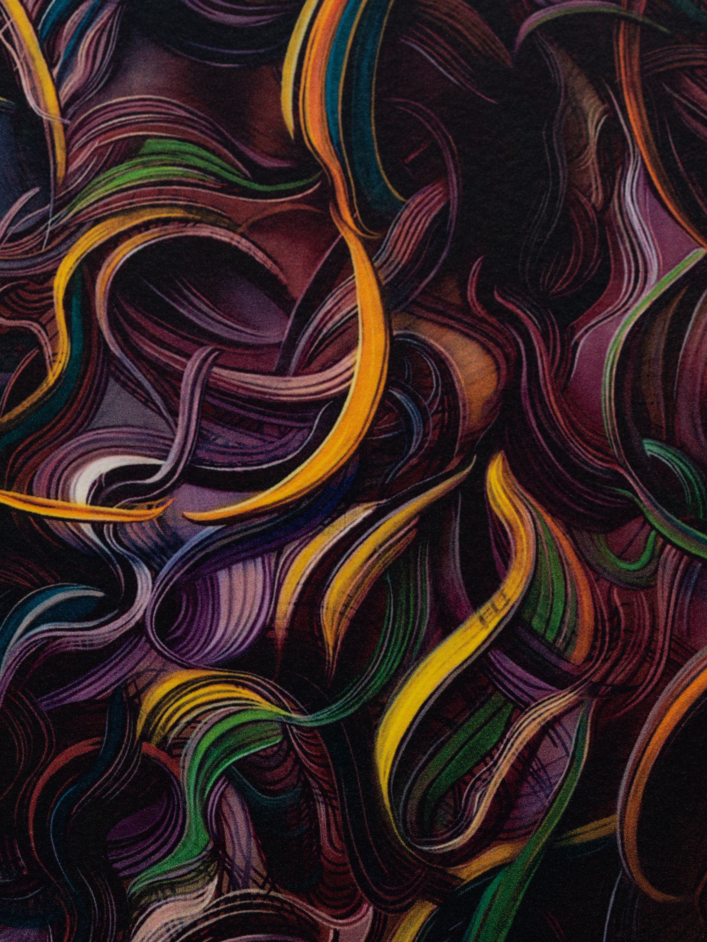 Straight-on detail of an archival pigment print by Glenn Brown.