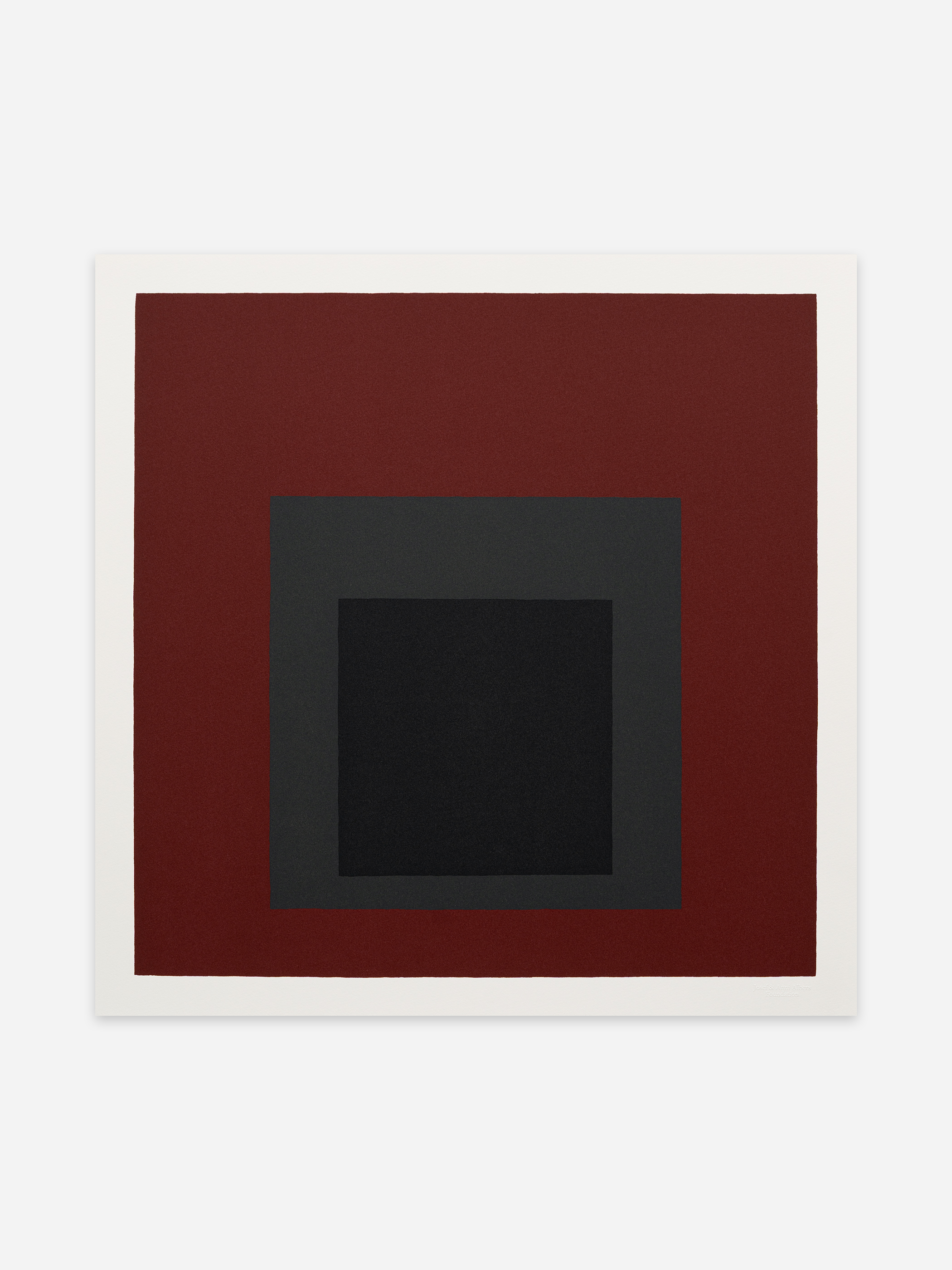 Set of 4 by Josef Albers