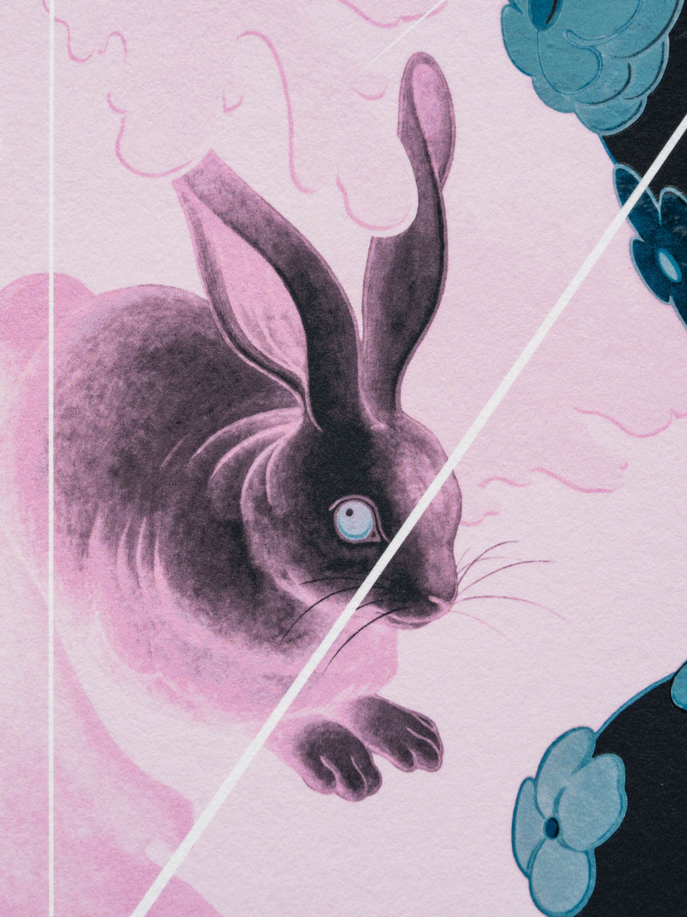 Illustration of a rabbit with glowing eyes, surrounded by clouds and flowers, divided by a diagonal line. Colours are pink and blue.