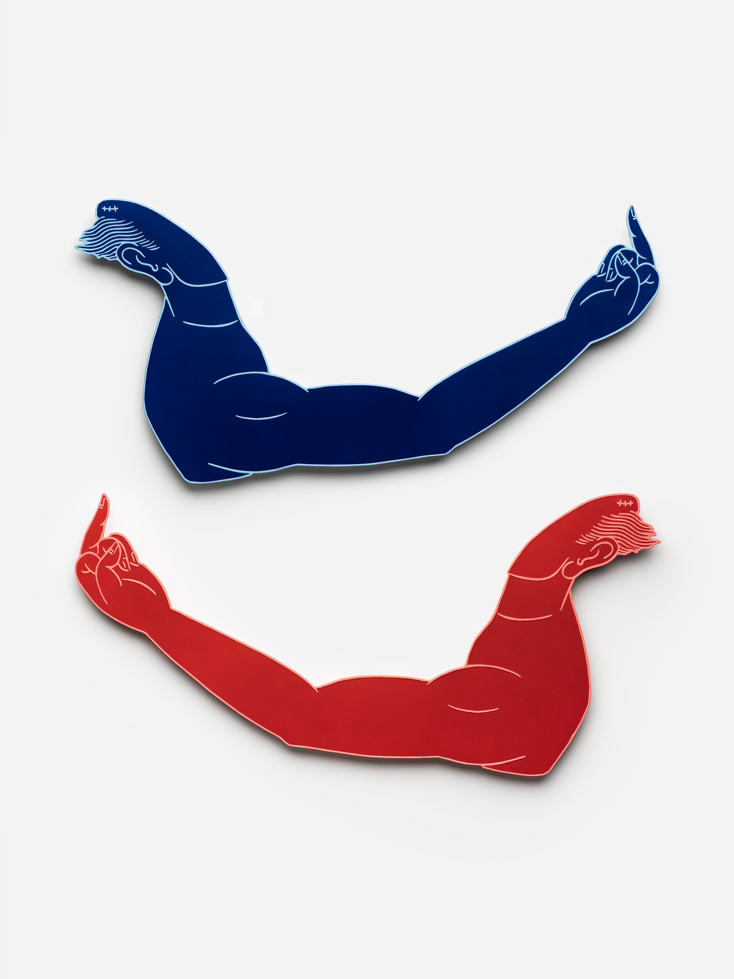 Two stylised, muscular arms in blue and red with middle fingers raised, set against a plain white background.