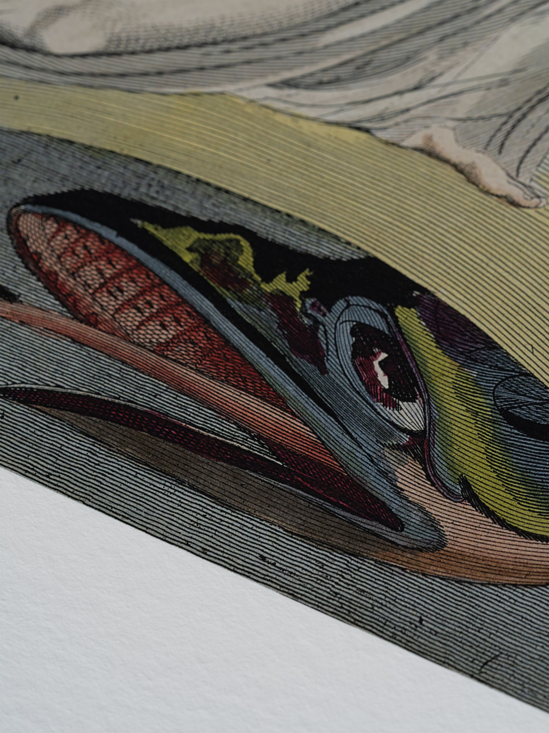 Close-up of a detailed, abstract illustration featuring intricate lines and vibrant colours, resembling a snake.