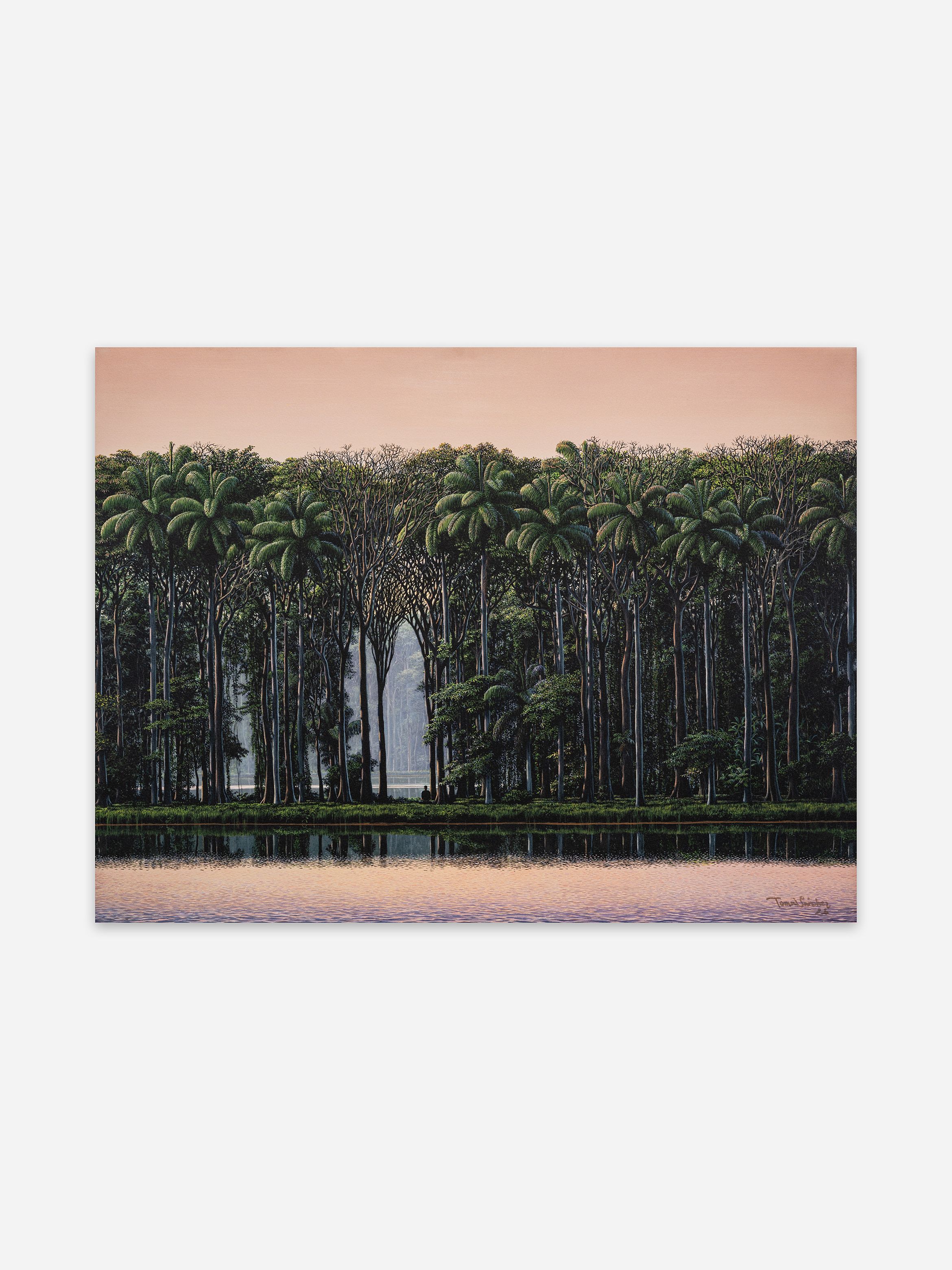 Sunset scene of tall palm trees lining a calm lake, pink-orange sky above and mirror-like reflections on the water. Sunset scene of tall palm trees lining a calm lake, pink-orange sky above and mirror-like reflections on the water.