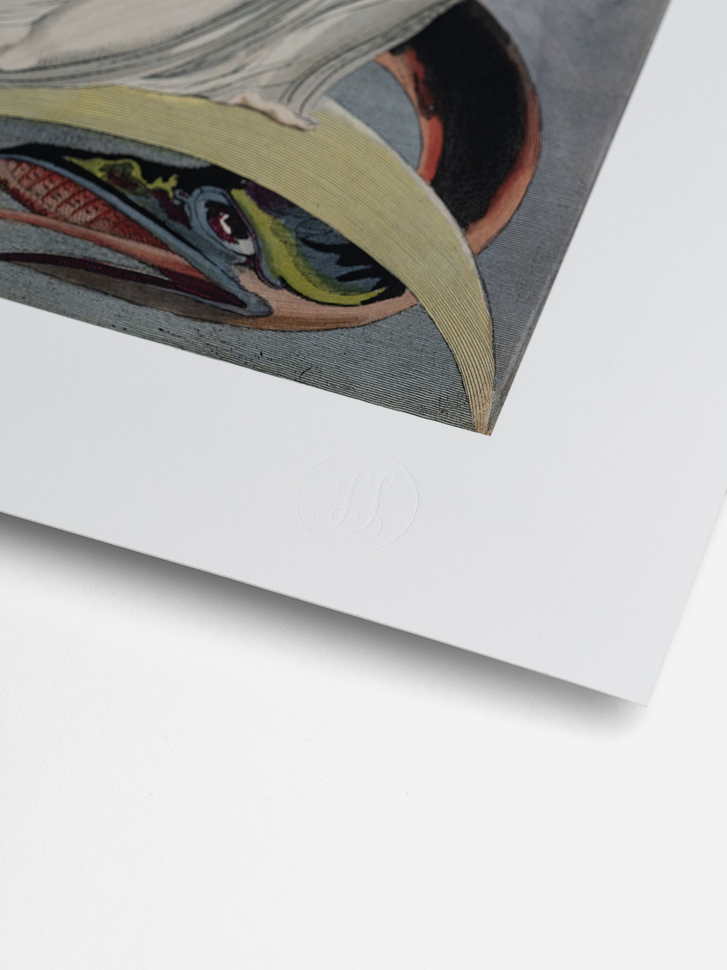 Close-up of a detailed artwork featuring abstract shapes and vibrant colours on a white-bordered canvas.