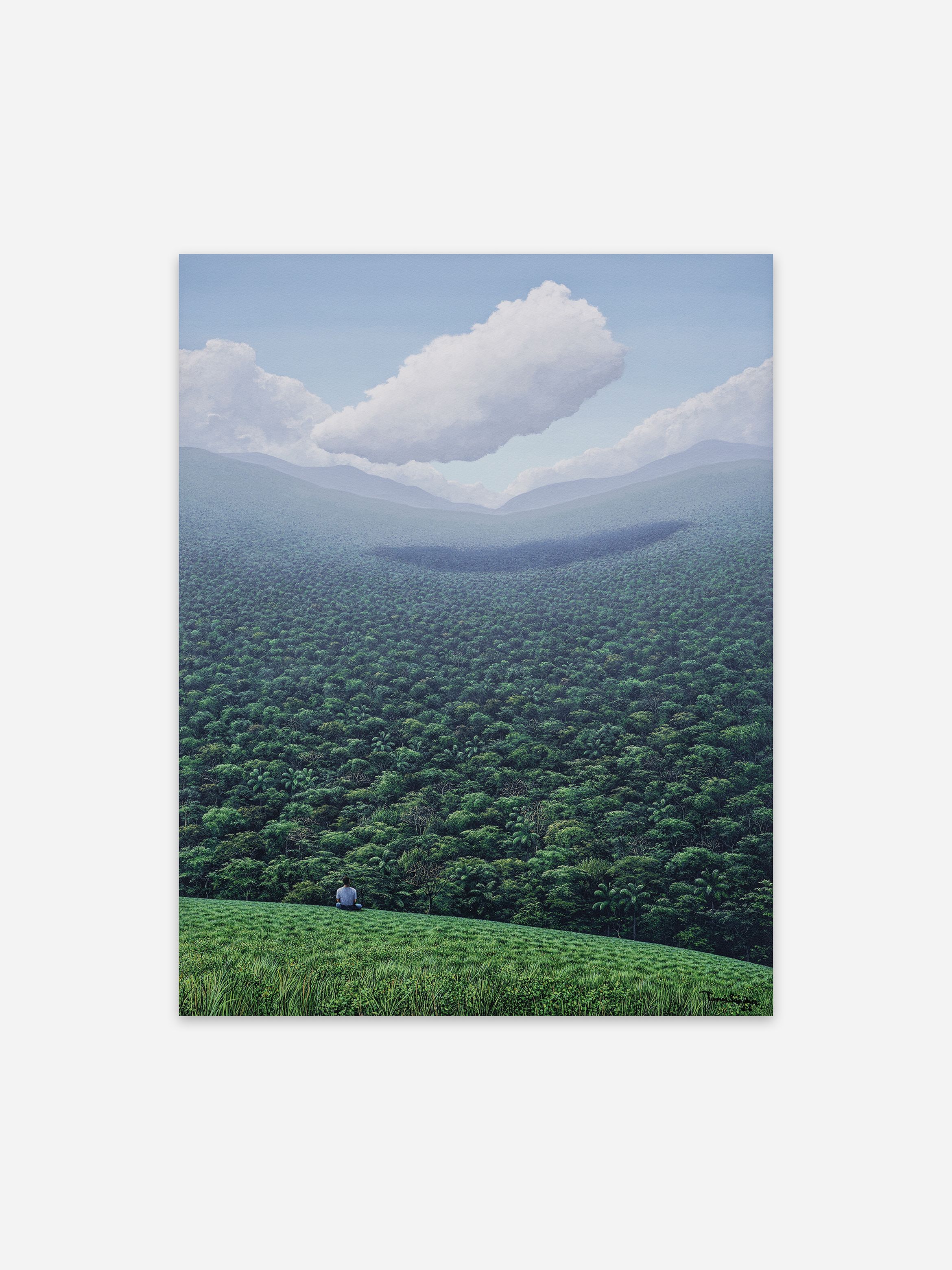 Person on a grassy ridge overlooking a vast green forest valley, hazy blue mountains and large clouds.