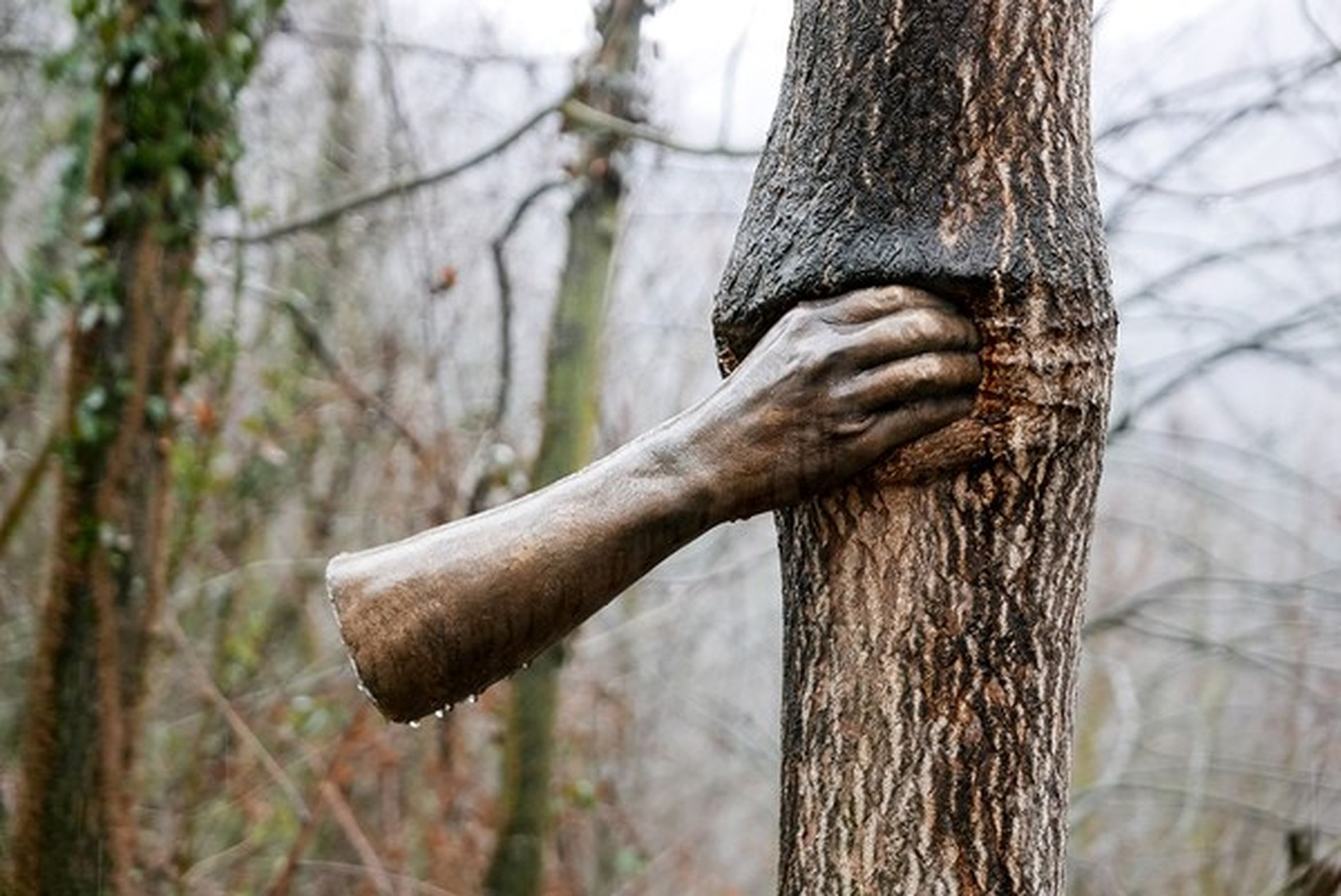 Artwork by Giuseppe Penone