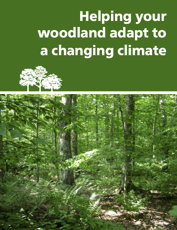 Helping Your Woodland Adapt to a Changing Climate - Land Trust Alliance