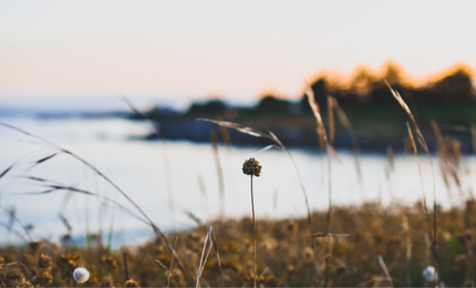 Qu'est ce que le bio CO2