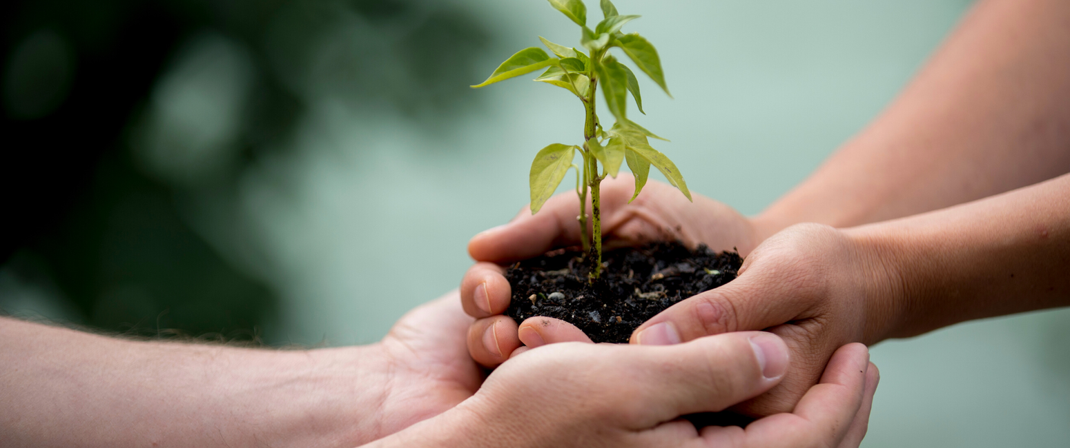 Investir dans une coopérative