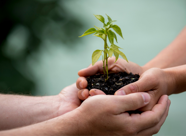Investir dans une coopérative