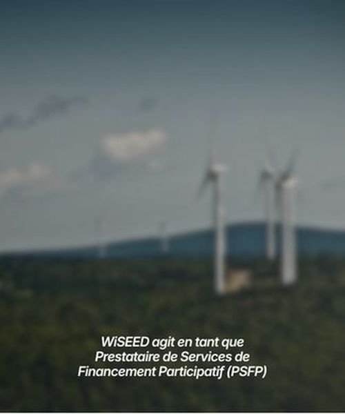 wiseed
