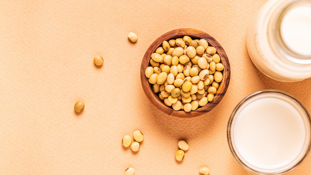 Soy Phytoestrogens Debunking the Myths Jude