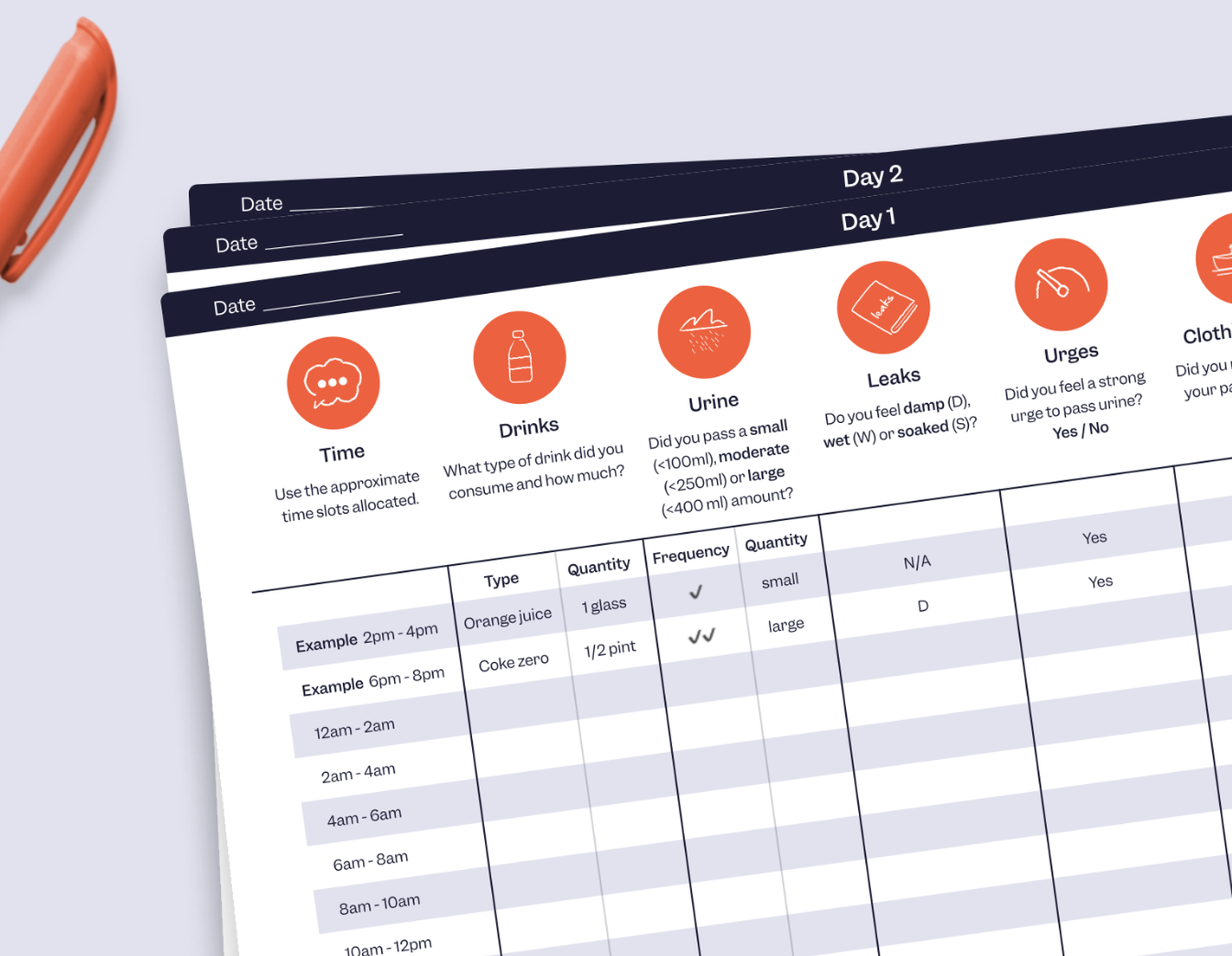 3 Day Bladder Care Diary