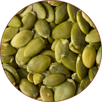 Seeds of Cucurbita Pepto 