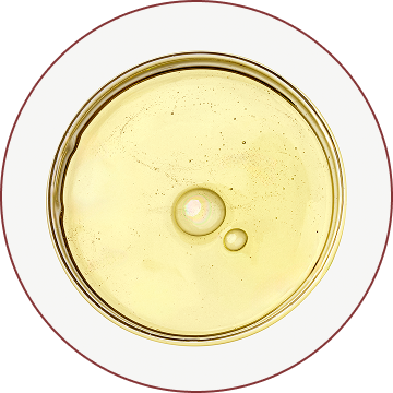 Hyaluronic Acid