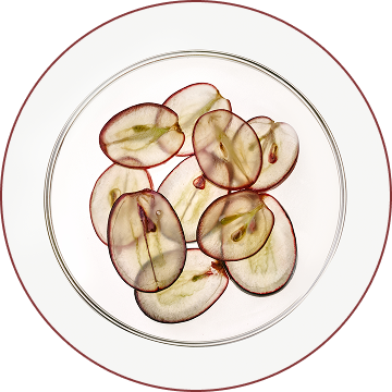 Grape Polyphenols