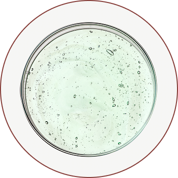 Collagen