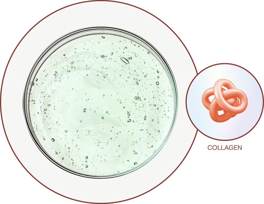 Collagen