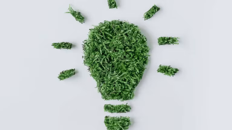 Green foliage arranged in the shape of an energy-saving light bulb