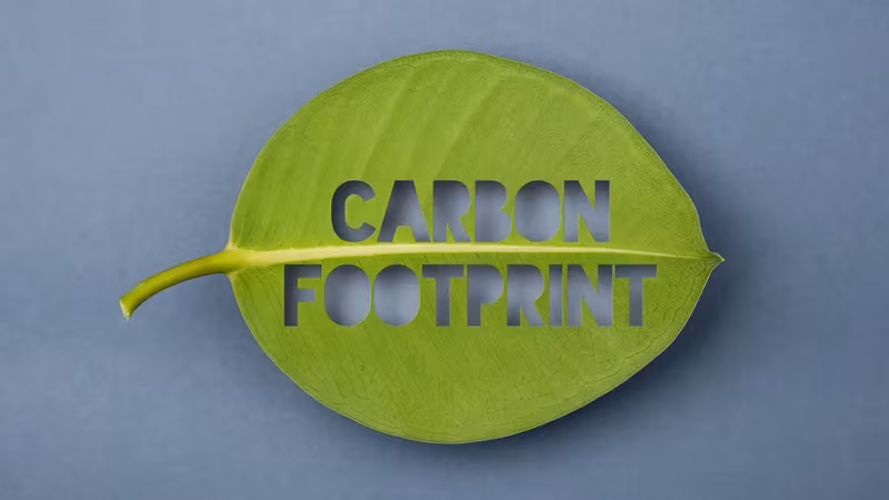 Green leaf displaying the words Carbon Footprint