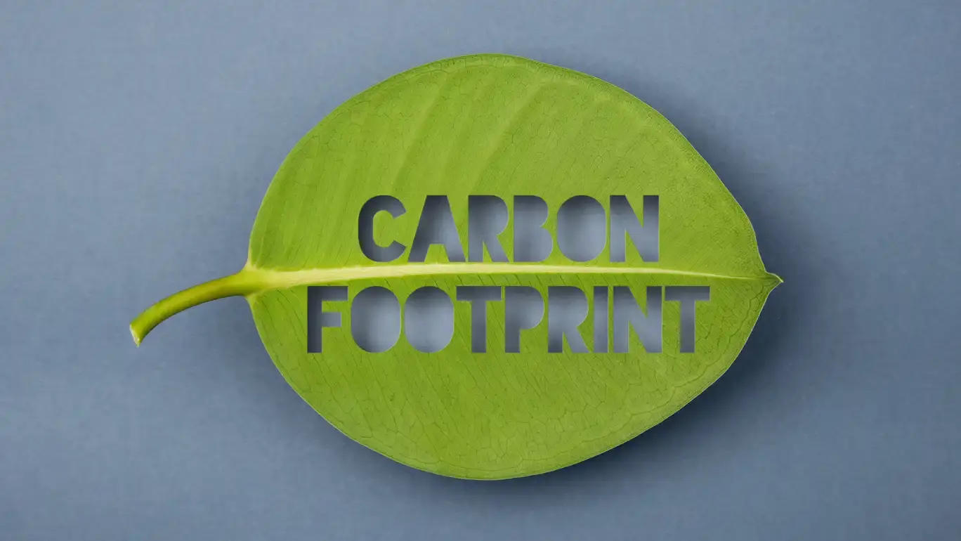 Green leaf with the words "CARBON FOOTPRINT" cut out, set against a blue background.
