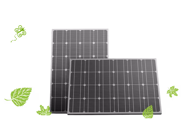 Two solar panels surrounded by green leaves on a transparent background