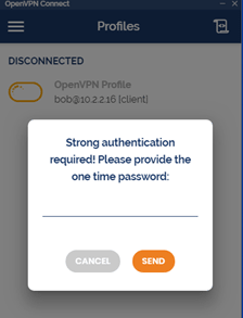 SRA open VPN