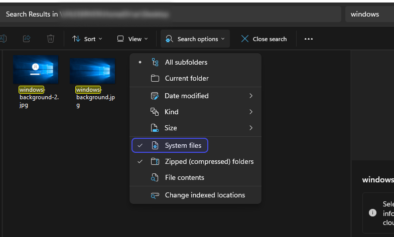 Search System files